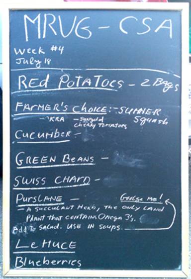 Description: Description: Description: Description: Description: MRVG-CSA-Share Week 4 07-21-2011-4x5.jpg