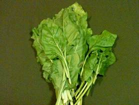 Description: Description: Description: Description: Description: MRVG-CSA-Week 4 07-21-2011-Swiss Chard-4x6.jpg