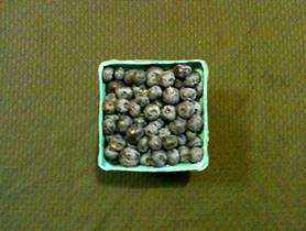 Description: Description: Description: Description: Description: MRVG-CSA-Week 4 07-21-2011-Blueberries-4x6.jpg